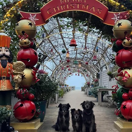 De Luxurious -baltic Riviera アパート