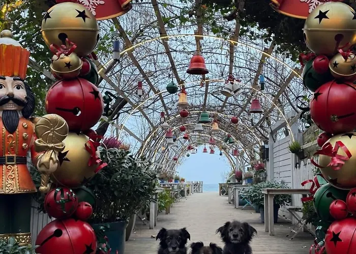 De Luxurious -baltic Riviera Appartement